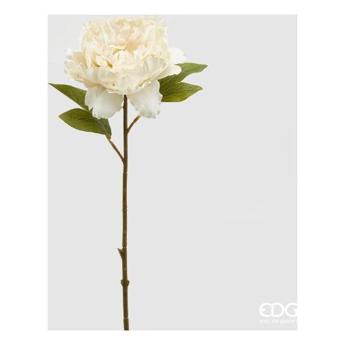 Edg Stelo Peonia a ivory 215333 120