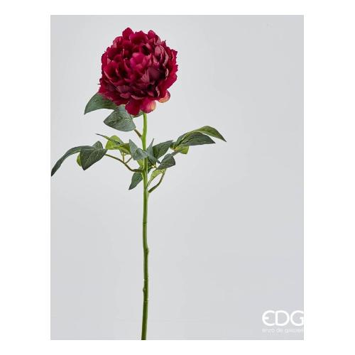 Edg Stelo Peonia purple (72cm) 214296 460