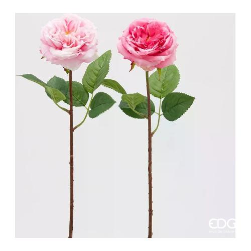 Edg Stelo Rosa tt pink (48cm) assortito 215567 550