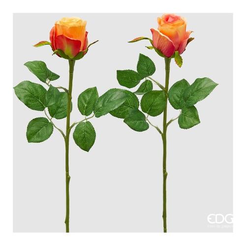 Edg Stelo Rosa bocc. Orange (51cm) assortito 215250 300