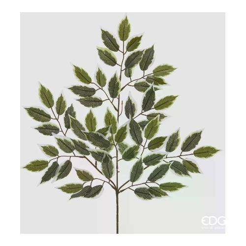 Edg Stelo Foglia ficus green 235065 700