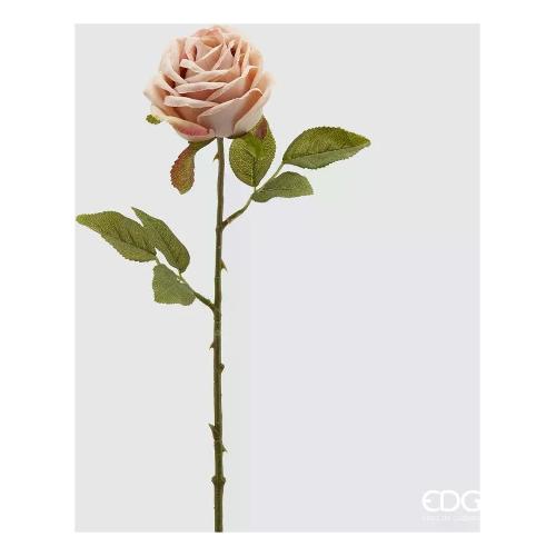 Edg Stelo Rosa epoque a lt.Peach 214956 330
