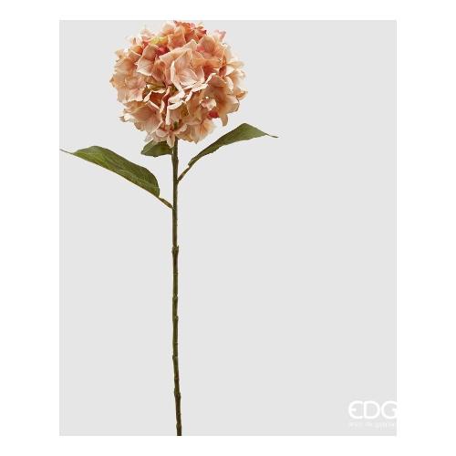 Edg Stelo Ortensia a lt.Peach 214952 330
