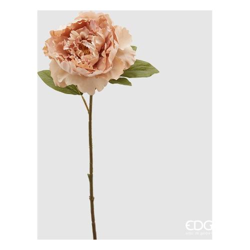 Edg Stelo Peonia a lt.Peach 215333 330