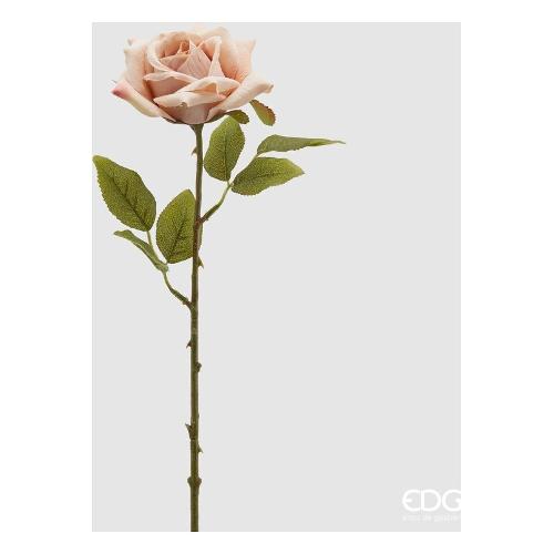 Edg Stelo Rosa epoque a lt.Peach 214957 330