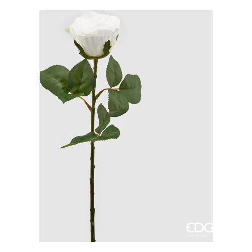 Edg Stelo Rosa rex white 219651 120