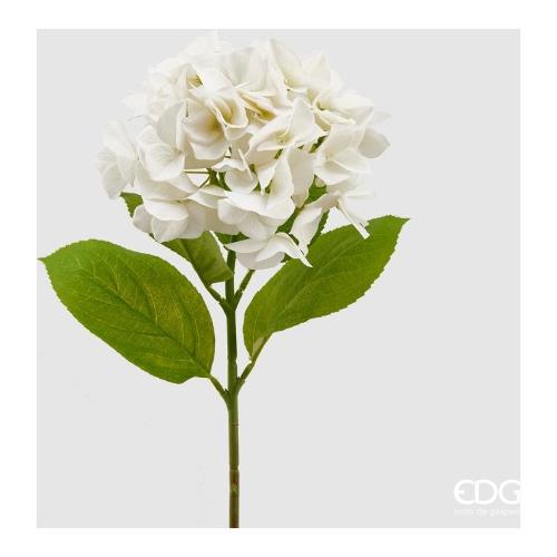 Edg Stelo Ortensia s ivory 215750 120