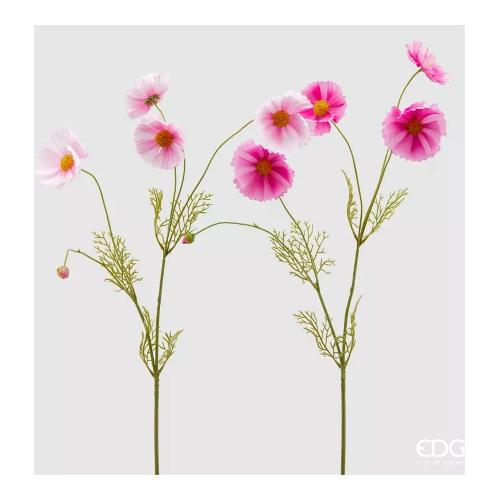 Edg Stelo Cosmos wh green assortito 215786 17