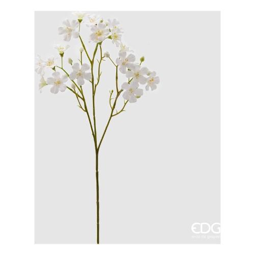Edg Stelo Oxalis white 215662 10