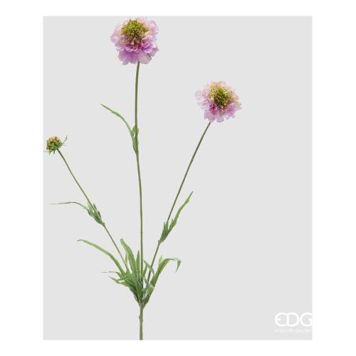 Edg Stelo Scabiosa mauve 215741 620