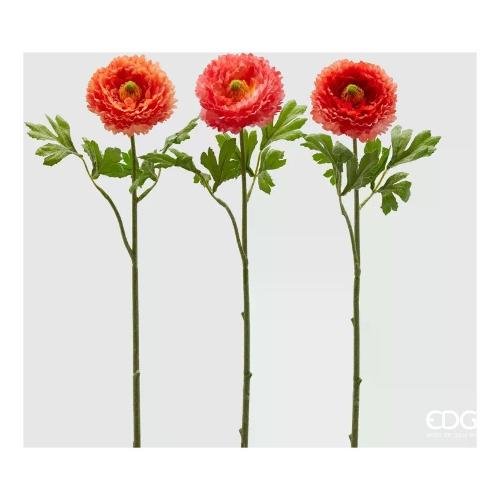 Edg Stelo Ranuncolo coral assortito 215981 340