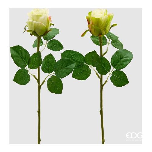 Edg Stelo Rosa bocc. Lt.Green assortito 215250 710