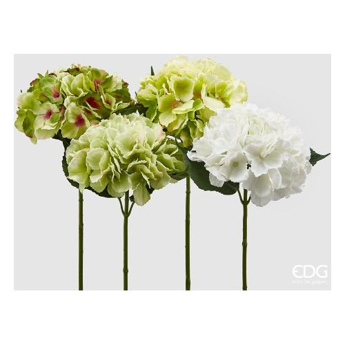 Edg Stelo Ortensia green white assortito 215524 720