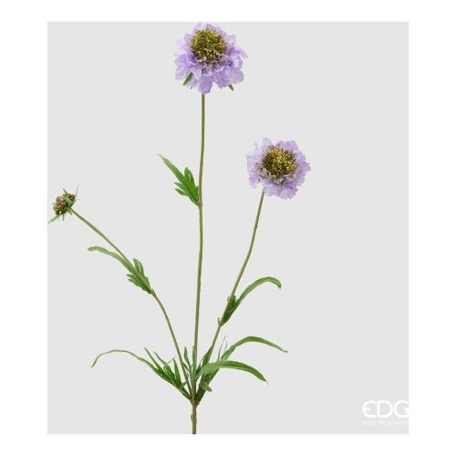 Edg Stelo Scabiosa lavander 215741 610