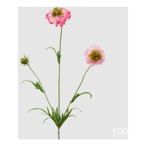 Edg Stelo Scabiosa pink s 215741 500