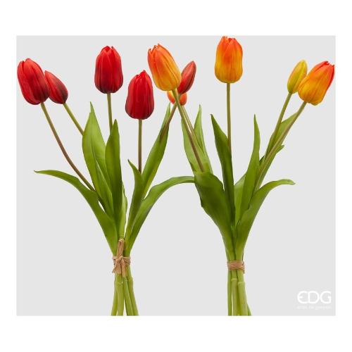 Edg Stelo Mazzo tulip. Orange assortito 216002 300