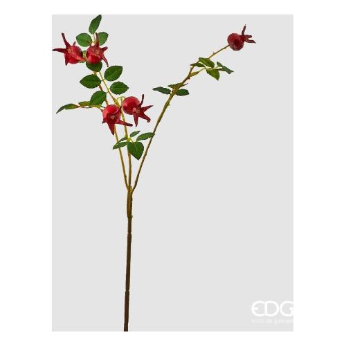 Edg Stelo Rosa canina red a 250246 400