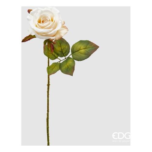 Edg Stelo Rosa ivory a 215900 120