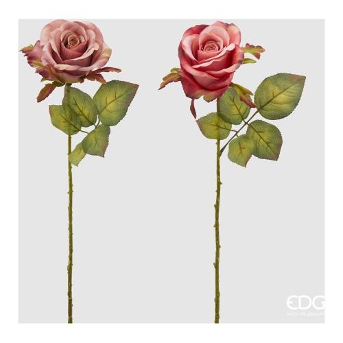 Edg Stelo Rosa mauve a 215900 620