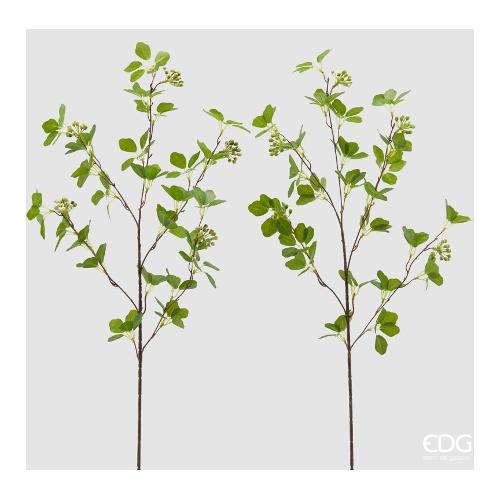 Edg Stelo Viburno green assortito 2300018A700