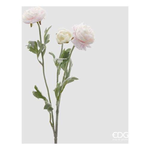 Edg Stelo Ranuncolo pale pink 2100113A551