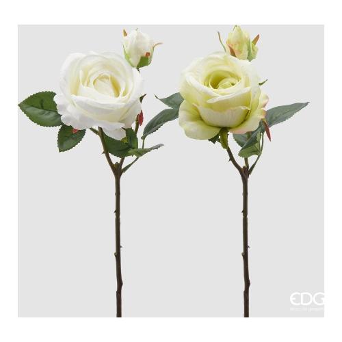 Edg Stelo Rosa white assortito 2100110A170
