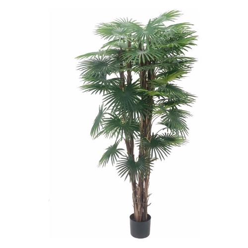 Dhg D.O.O. Pianta artificiale Palma camerux green 82475 (170 cm)