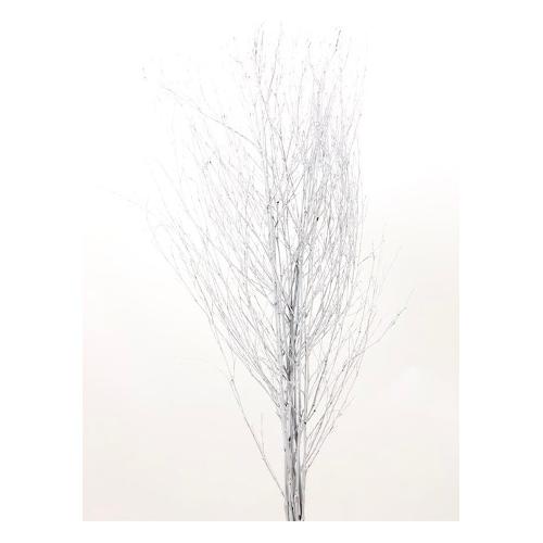 Dhg D.O.O. Stelo natalizio 150cm. Bamboo Bianco 11468