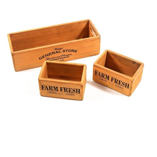 Mercury Set cassette multiuso 3 pz 34x13x9 e 15x10x8 cm Naturale 22017