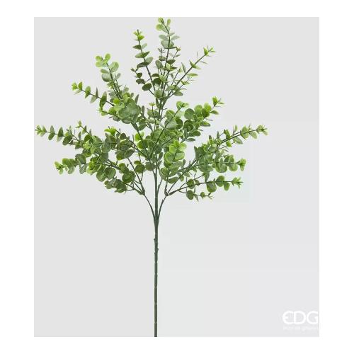 Edg Stelo Foglia eucalipto 2300124A772