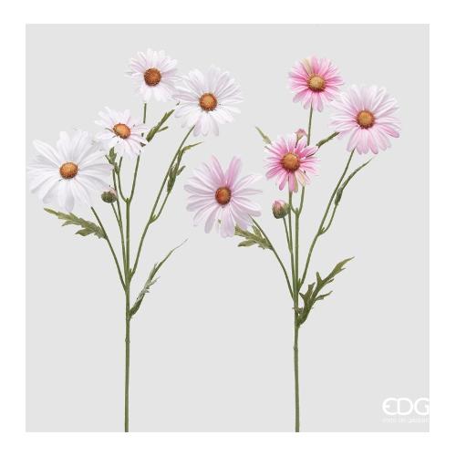 Edg Stelo Margherita pink (60cm) assortito 214219 555