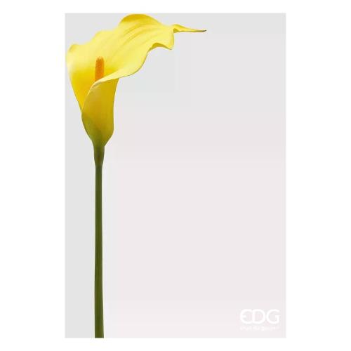 Edg Stelo Calla yellow (75cm) 2100333A200