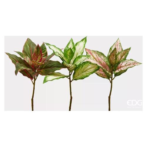 Edg Stelo Foglie caladium pink (45cm) assortito 232753 750