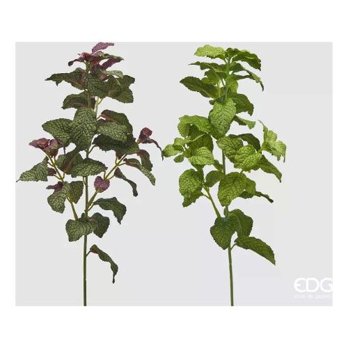 Edg Stelo Foglie aromi menta (38cm) assortito 2300148A799
