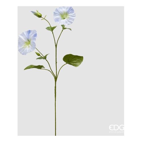 Edg Stelo Campanula white blu (71cm) 2100179A180