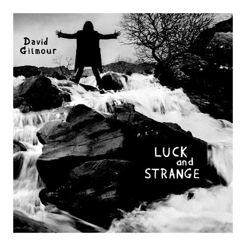 Audio Vinile Luck And Strange (Translucent Blue Sea Vinyl) - David Gilmour 19802812421