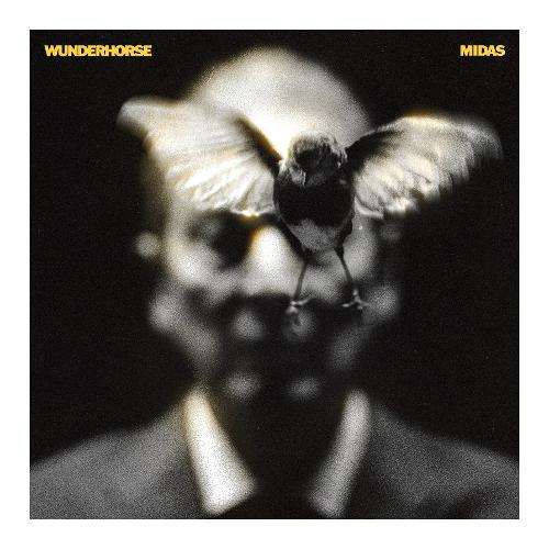 Audio CD Midas - Wunderhorse COMM608