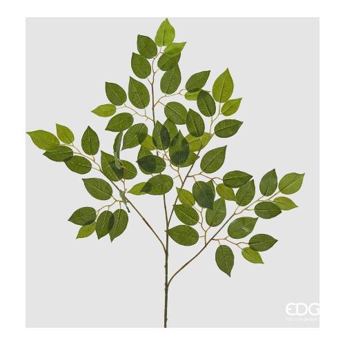 Edg Stelo Foglia ficus benjamin verde 2300155A700