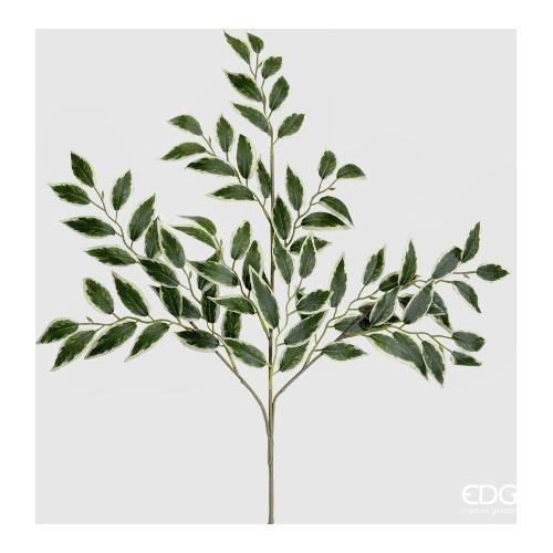 Edg Stelo Foglia ficus benjamin verde e bianco 2300155A170
