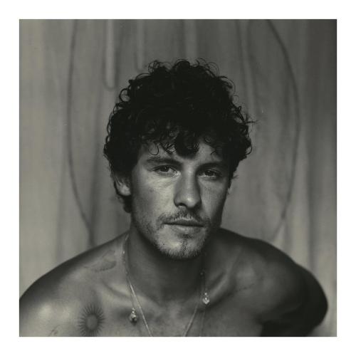 Audio Vinile Shawn - Shawn Mendes 6800639