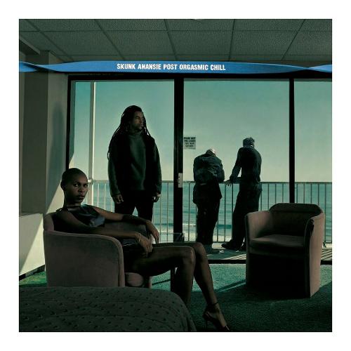 Audio Vinile Post Orgasmic Chill (25Th Anniversary) (2 Lp) - Skunk Anansie LP100163