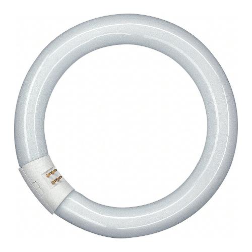 Osram Circolina neon G10q (22W) , luce fredda L22 840