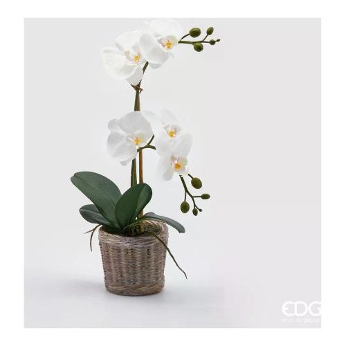 Edg Pianta artificiale Orchidea white con vaso 215711 100 (40 cm)