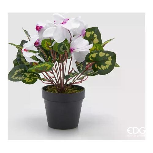 Edg Pianta artificiale Ciclamino white violet con vaso 2100478A160 (40 cm)