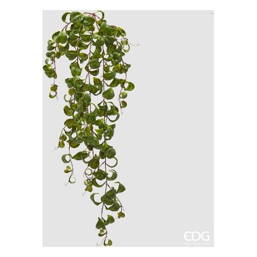 Edg Mazzetto Eschinanto Green  2300281A170