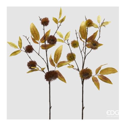 Edg Stelo Castagno autumn assortito 2500070A930