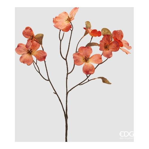 Edg Stelo Cornus yel.Orange 2100482A230