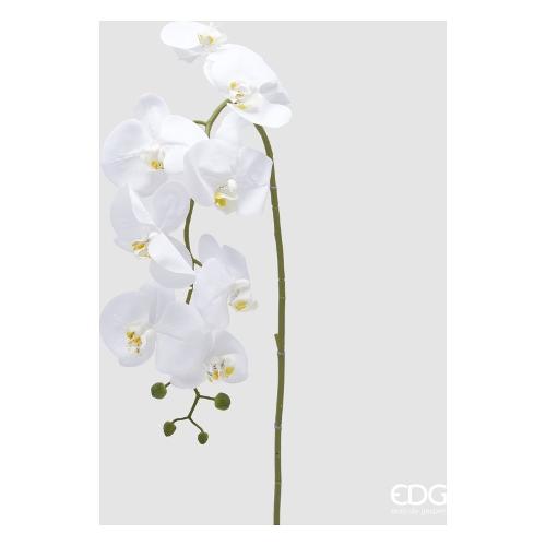 Edg Stelo Orchidea white (115cm) 2100168A100