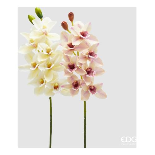 Edg Stelo Orchidea w.violet assortito 2100446A16