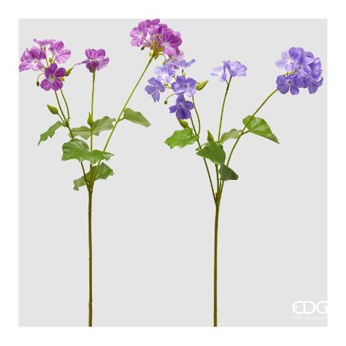 Edg Stelo Geranio violet assortito 2100380A699